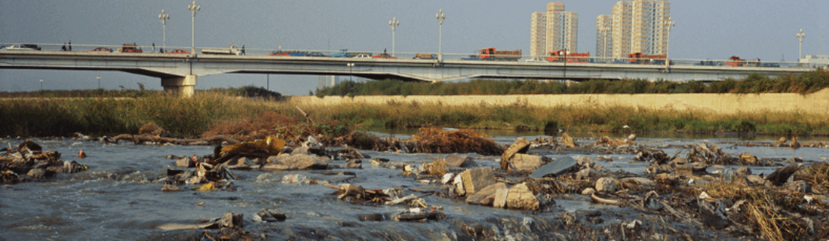 ¿Qué es un saneamiento ecológico y porque es importante?