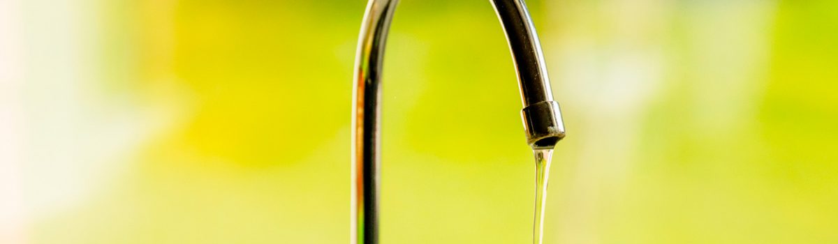 Purificador de agua Rotoplas: beneficios y precios