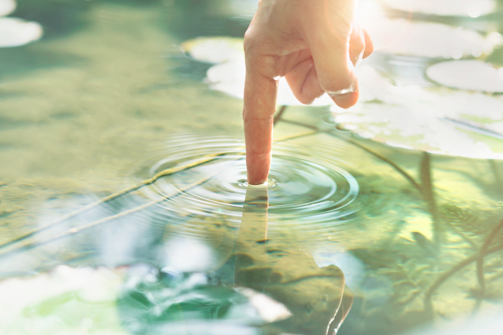 ¿De dónde viene el agua que tomamos?