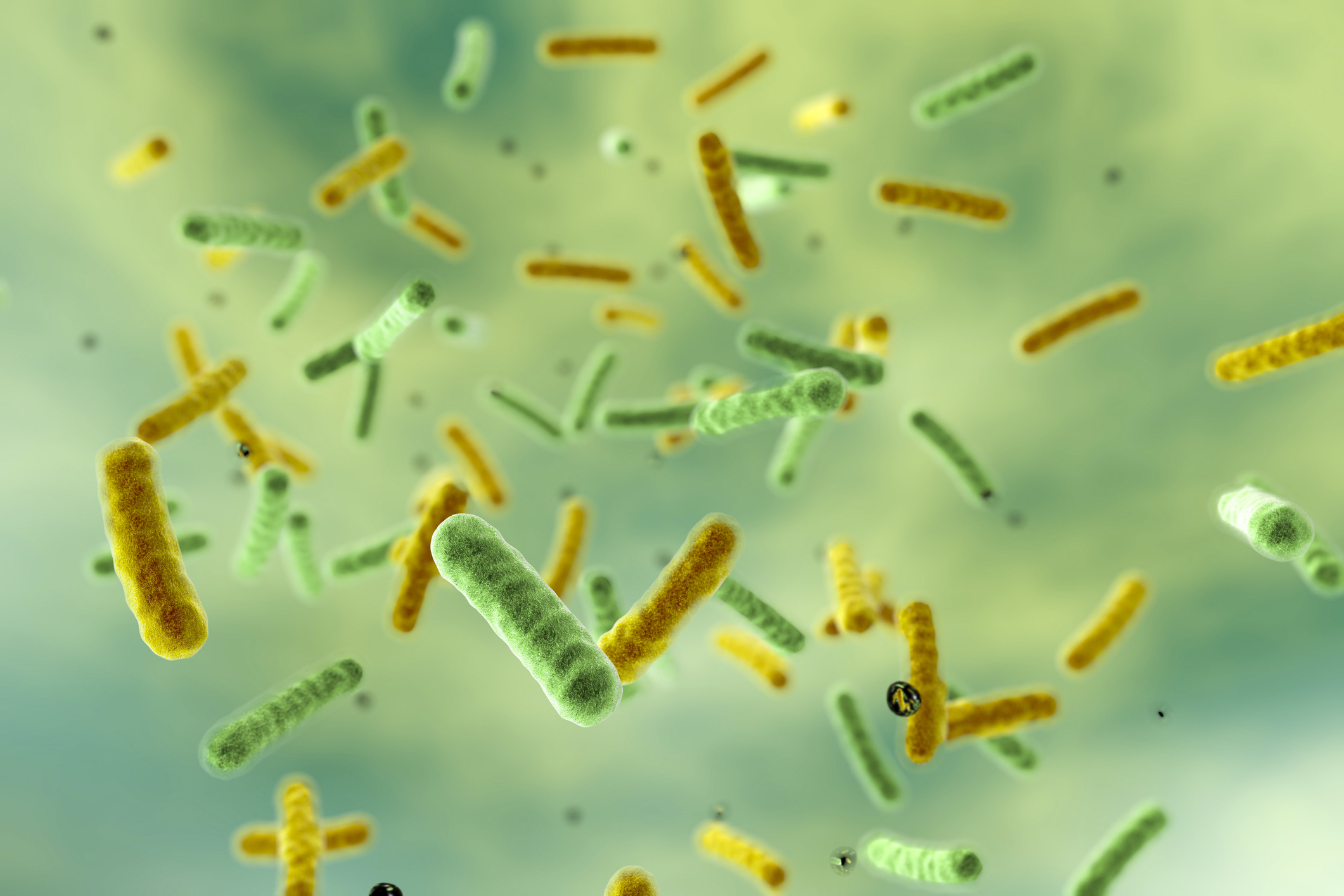 Bacterias en el agua: Evita que vivan en las tuberías de casa
