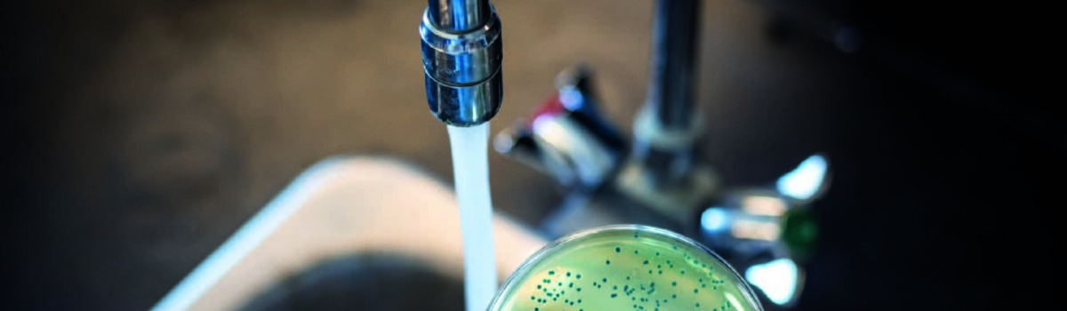 ¿Sabías que la tubería de agua puede tener bacterias?